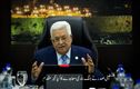 فلسطین کے صدر  محمود  عباس نے غزہ میں جنگ بندی کے معاہدے کے اعلان کا کیا خیر مقدم 